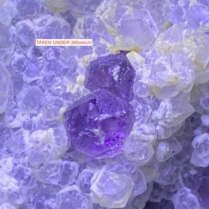 FLUORITE/QUARTZ FASCINATING SPECIMEN : NAICA, CHIHUAHUA, MEXICO 330g. MF5492