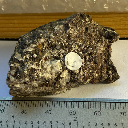 PARACELSIAN IN MATRIX, BENALLT MINE, WALES. 60g MF1561