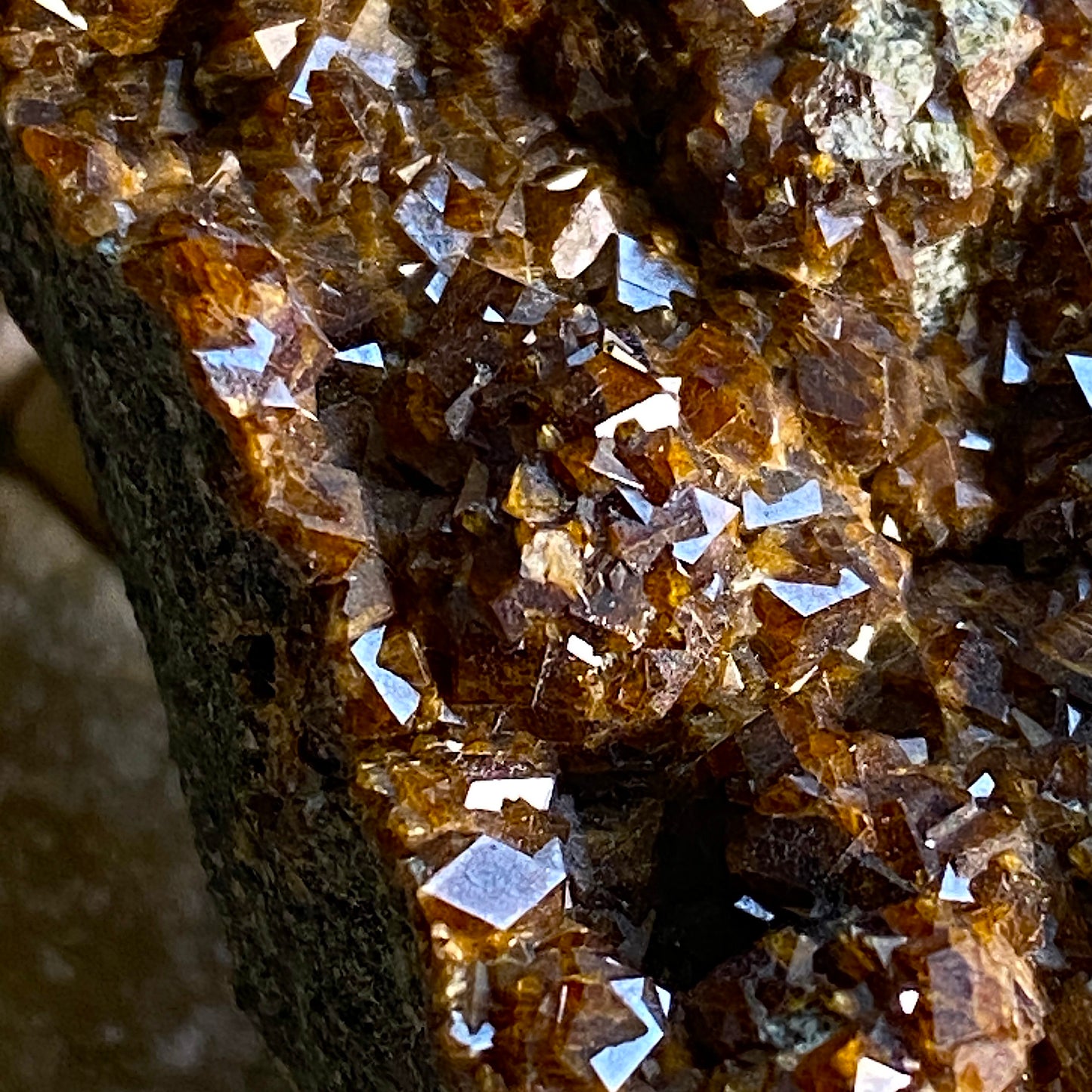 ANDRADITE GARNET CRYSTAL ASSEMBLAGE, SKJERPEMYR MINE, NORWAY 29g MF1562