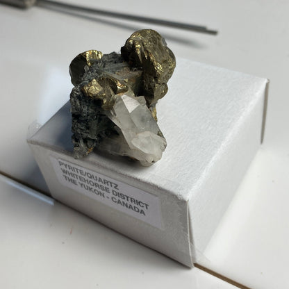 PYRITE/QUARTZ - WHITEHORSE DISTRICT, THE YUKON, CANADA  30g. MF2376