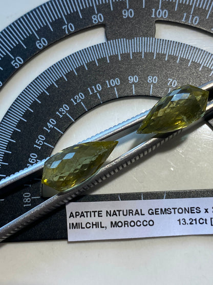 APATITE NATURAL GEMSTONES x 2 : IMILCHIL, MOROCCO. 13.21Ct MFG4846