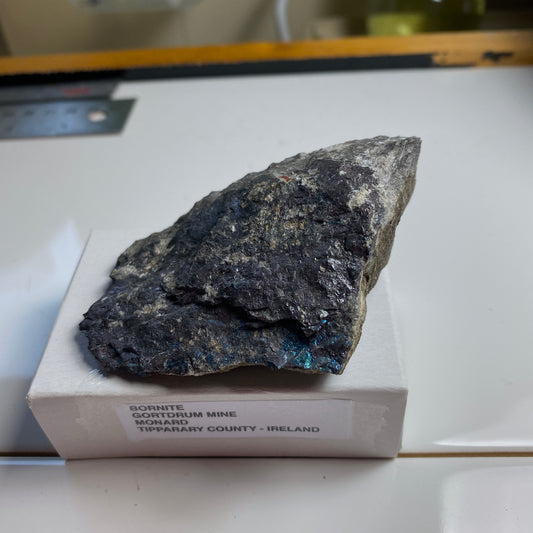 BORNITE ON MATRIX - GORTDRUM MINE, IRELAND  124g MF2377