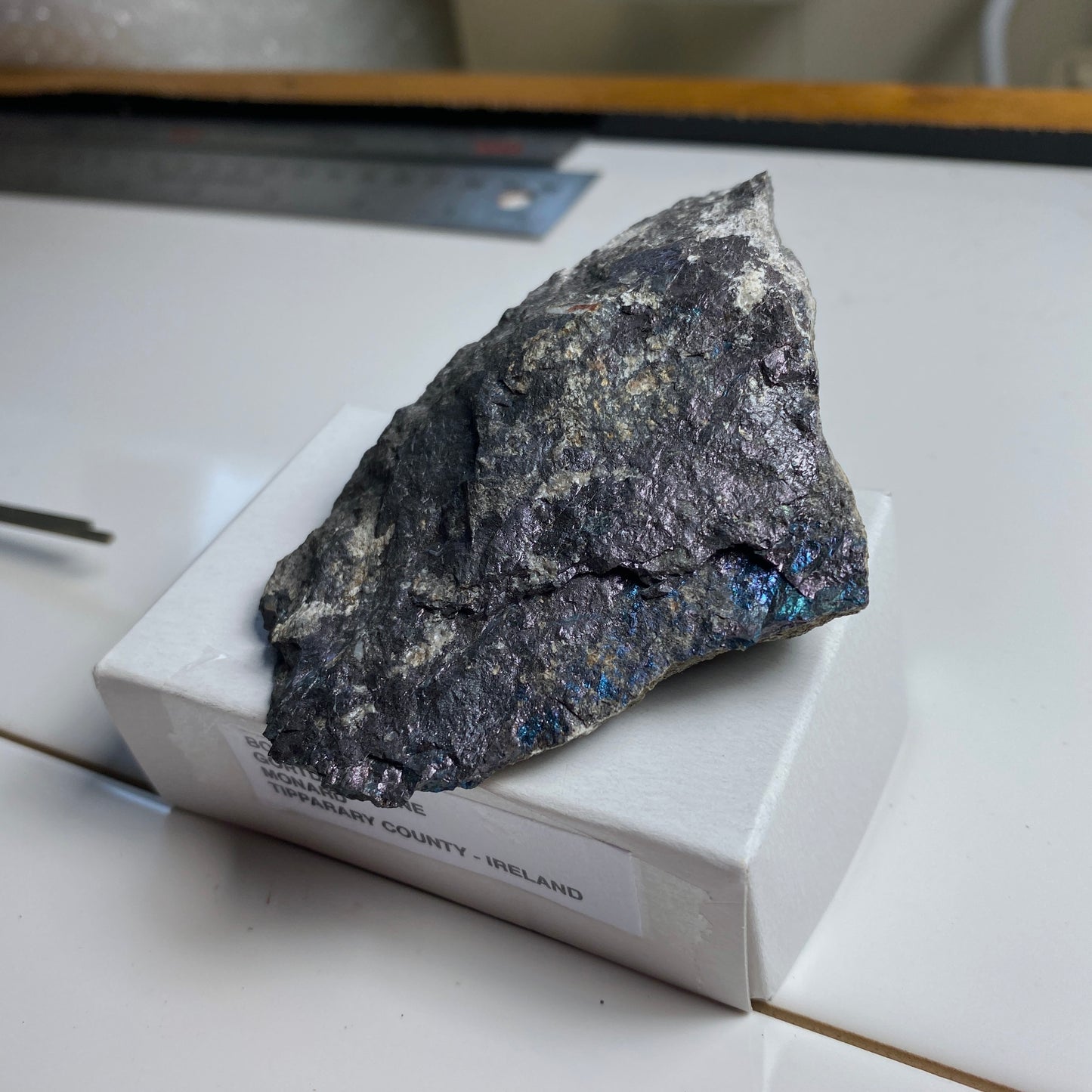 BORNITE ON MATRIX - GORTDRUM MINE, IRELAND  124g MF2377