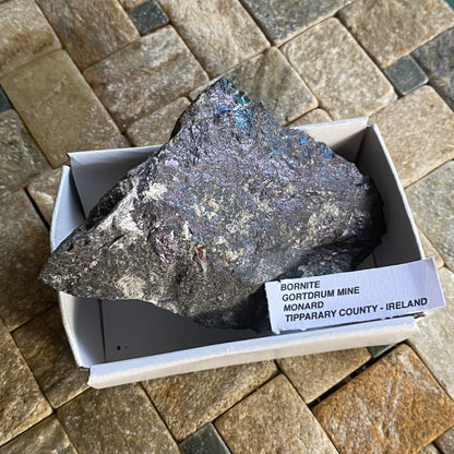 BORNITE ON MATRIX - GORTDRUM MINE, IRELAND  124g MF2377