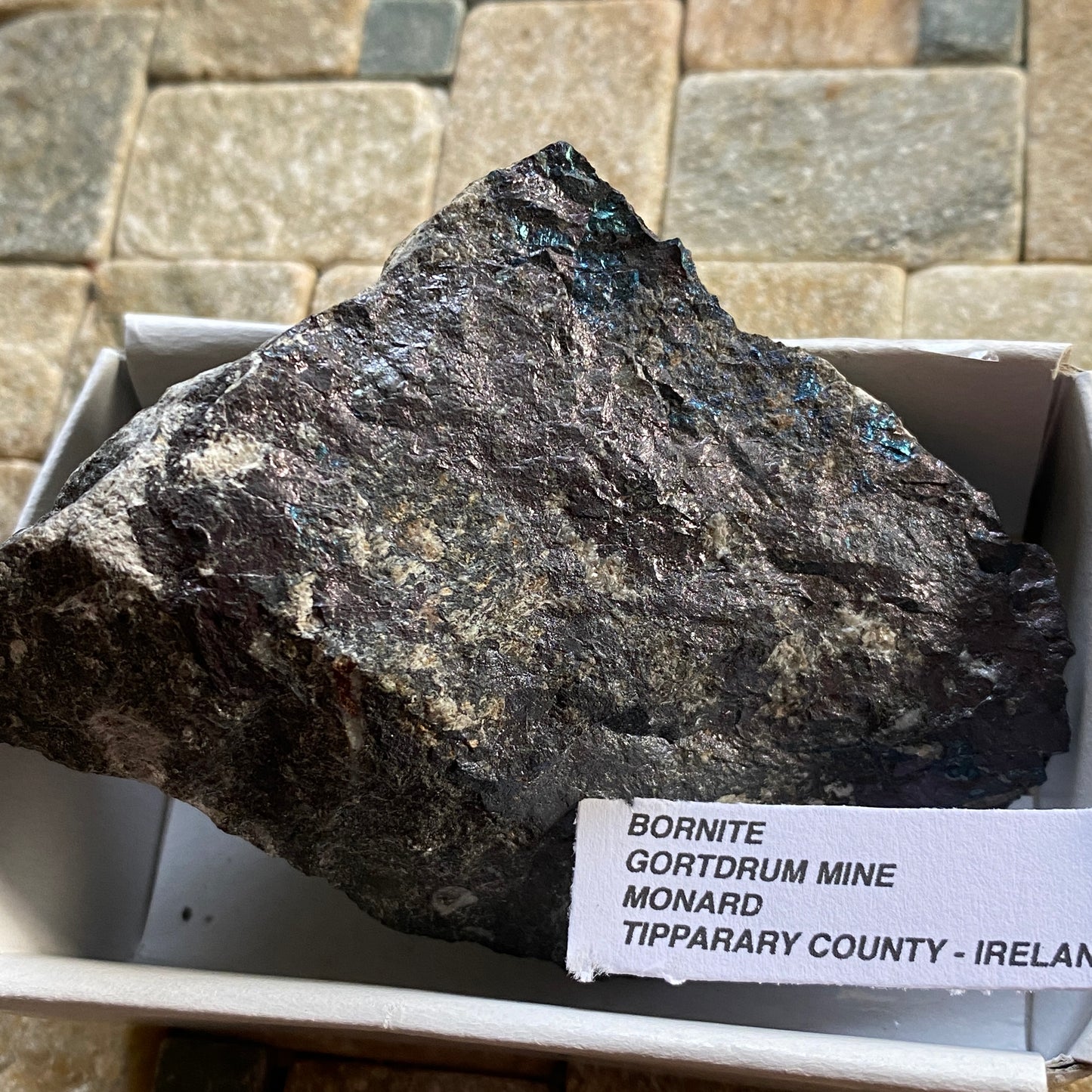 BORNITE ON MATRIX - GORTDRUM MINE, IRELAND  124g MF2377