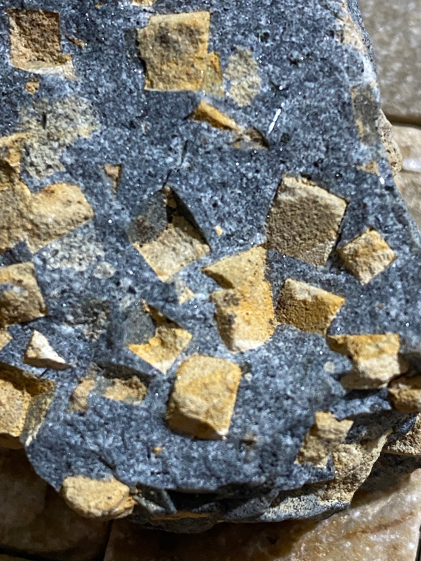 NARSARSUKITE : LOVOZERO MASSIF,  KOLA PENINSULA, RUSSIA  69g MF4833