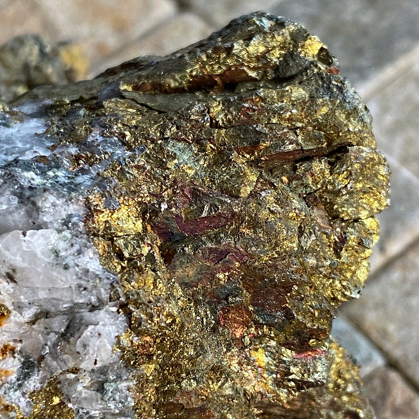 CHALCOPYRITE [ETC] - HANGING WALL VEIN, GEEVOR TIN MINE, PENDEEN, CORNWALL, ENGLAND