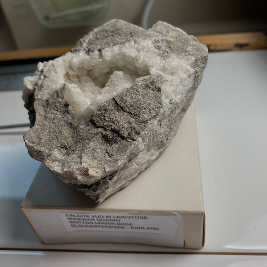 CALCITE VUG IN CARBONIFEROUS LIMESTONE - WICKWAR QUARRY, 358g MF2382