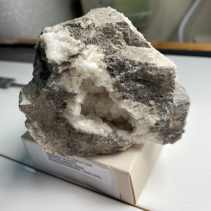 CALCITE VUG IN CARBONIFEROUS LIMESTONE - WICKWAR QUARRY, 358g MF2382