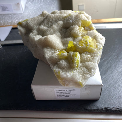 SULPHUR WITH CALCITE BEAUTIFUL LARGE SPECIMEN FROM SICILY LARGE 910g MF1569