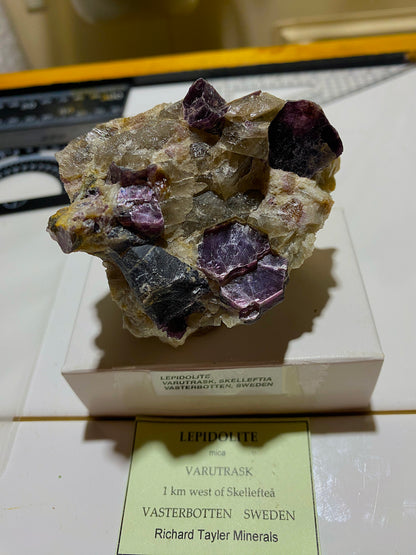 LEPIDOLITE : VARUTRASK, SKELLEFTIA, VASTERBOTTN. SWEDEN 149g MF4839