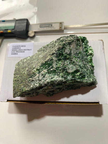 FUCHSITE MICA : CHIBWIKA, MWINILUNGA, N.W. PROVINCE, ZAMBIA 251g MF4842