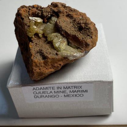 ADAMITE IN LIMONITE MATRIX - OJUELA MINE, MEXICO. 45g MF2132