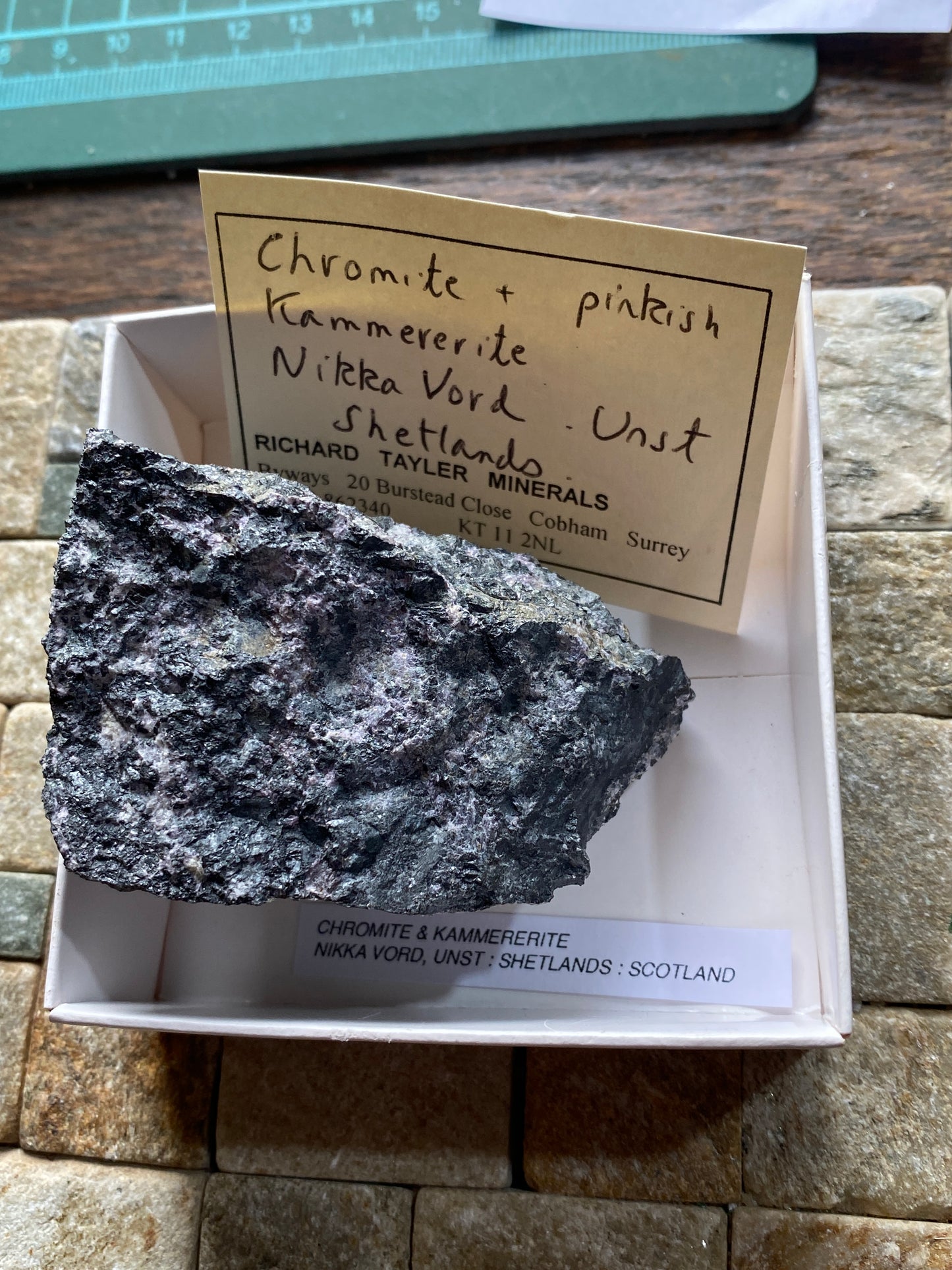 CHROMITE/KAMMERERITE : NIKKA VORD, UNST, SHETLAND, SCOTLAND 193g MF4844