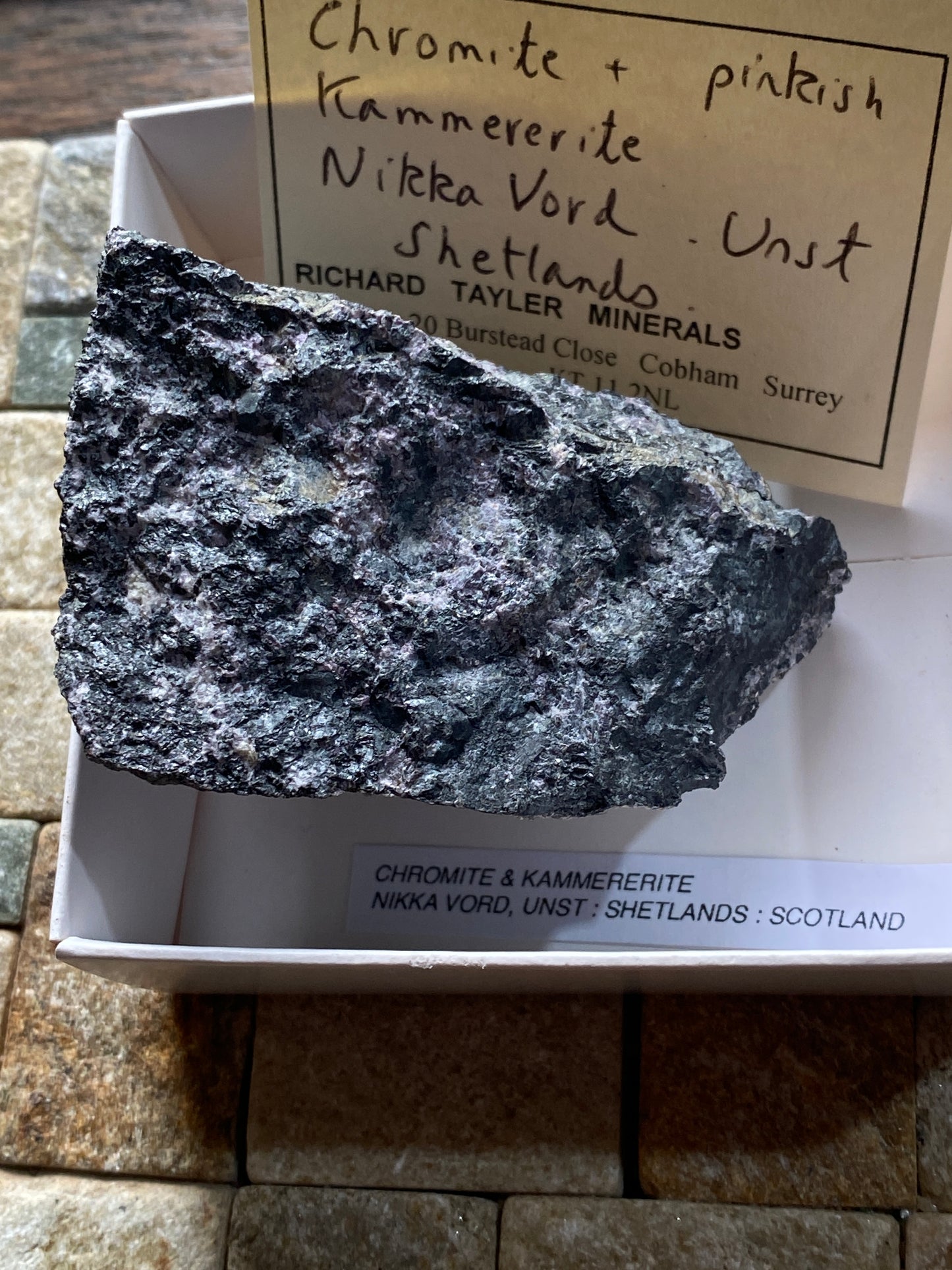 CHROMITE/KAMMERERITE : NIKKA VORD, UNST, SHETLAND, SCOTLAND 193g MF4844