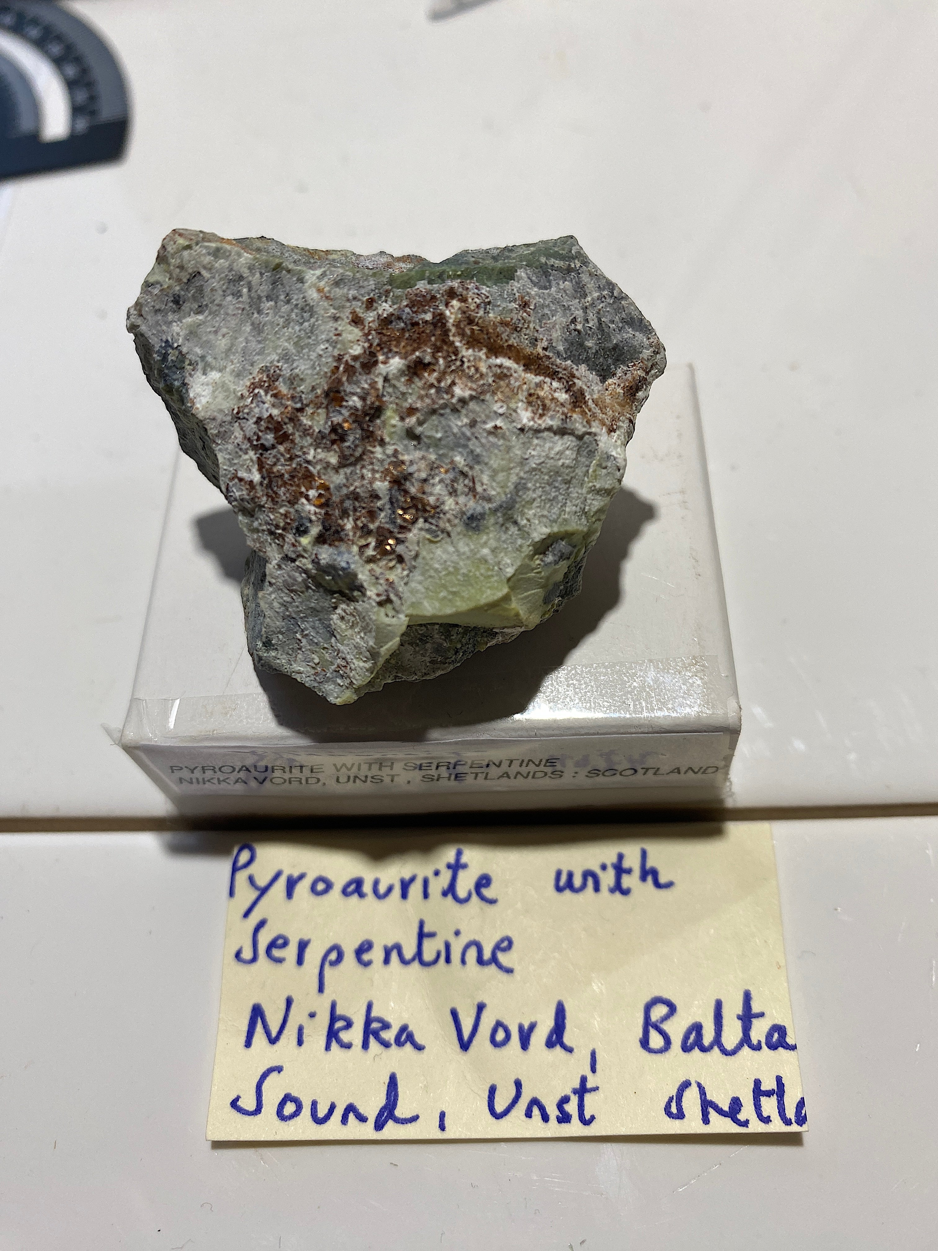 PYROAURITE ON SERPENTINE :NIKKA VORD, UNST,SHETLAND, SCOTLAND 28g MF48 ...