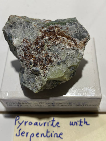 PYROAURITE ON SERPENTINE :NIKKA VORD, UNST,SHETLAND, SCOTLAND 28g MF4845