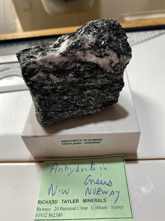 ANHYDRITE IN GNEISS : STRYN, VESTLAND, NORWAY  236g MF4849