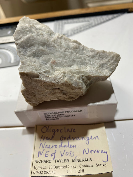 OLIGOCLASE FELDSPAR : GUDVANGEN, VESTLAND COUNTY, NORWAY 194g MF4850
