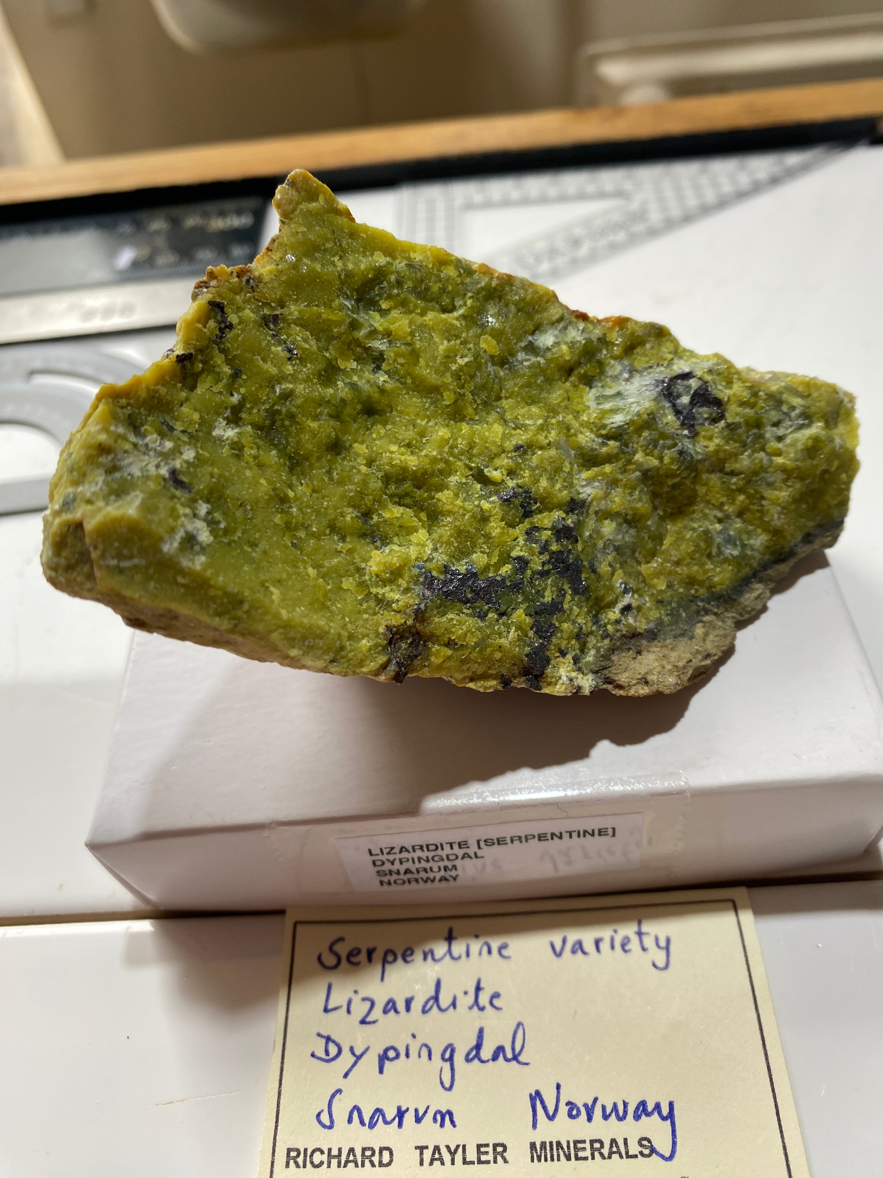 Lizardite LIZARDITE : DYPINGDAL, SNARUM, NORWAY. 232g MF4851 – MF Minerals & Rocks