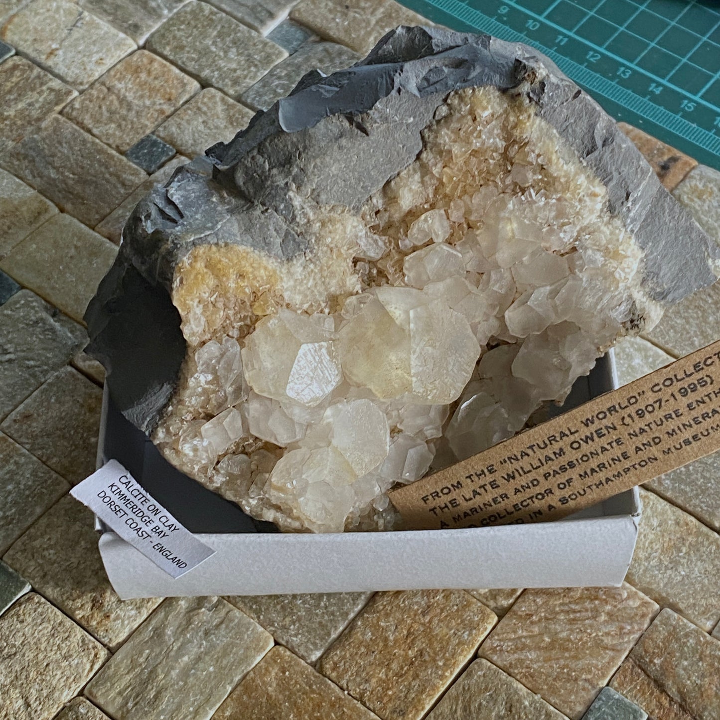 CALCITE IN JURASSIC CLAY - KIMMERIDGE BAY, DORSET HEAVY 733g. MF2119