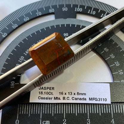 JASPER - CASSIER MOUNTAINS, BRITISH COLUMBIA, CANADA. 18.10Ct MFG3110