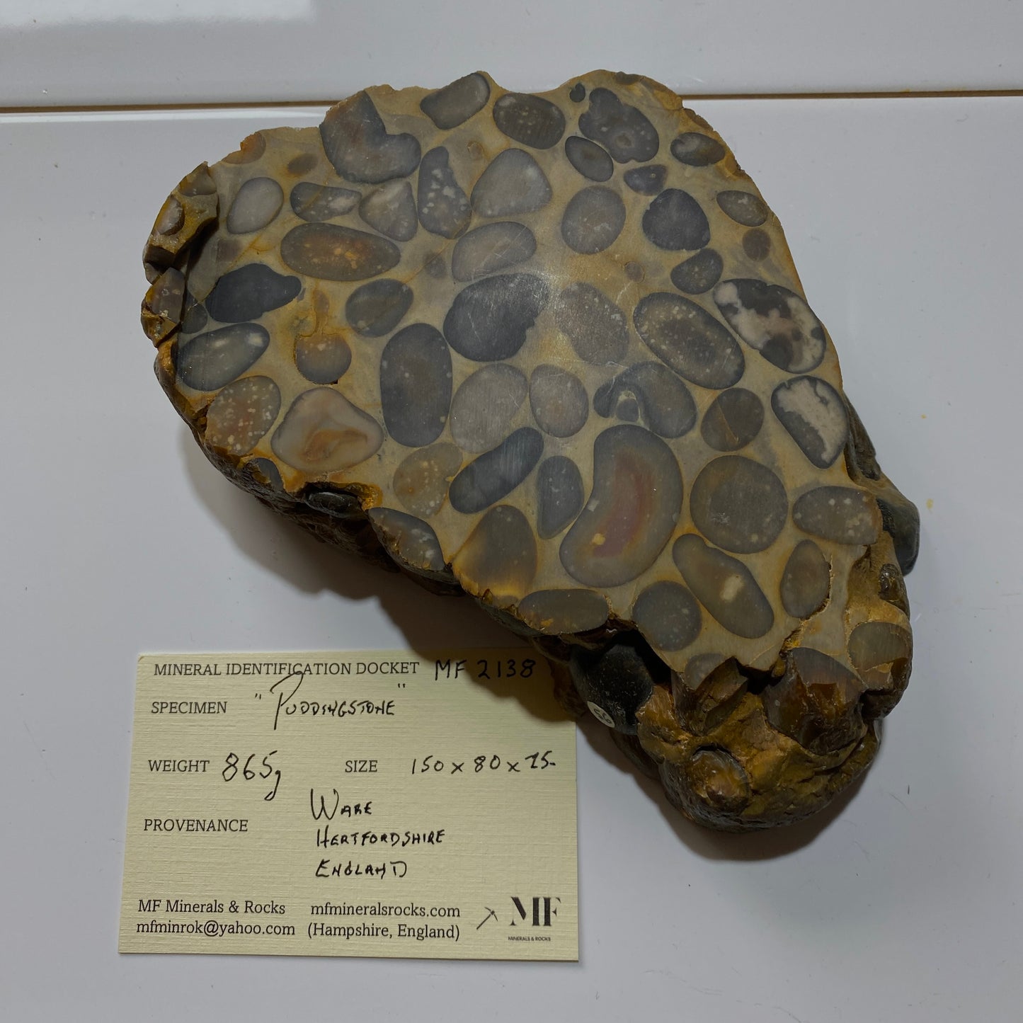 "PUDDINGSTONE" CONGLOMERATE - WARE, HERTFORDSHIRE, ENGLAND LARGE SPECIMEN 865g MF2138