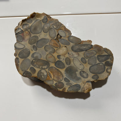 "PUDDINGSTONE" CONGLOMERATE - WARE, HERTFORDSHIRE, ENGLAND LARGE SPECIMEN 865g MF2138