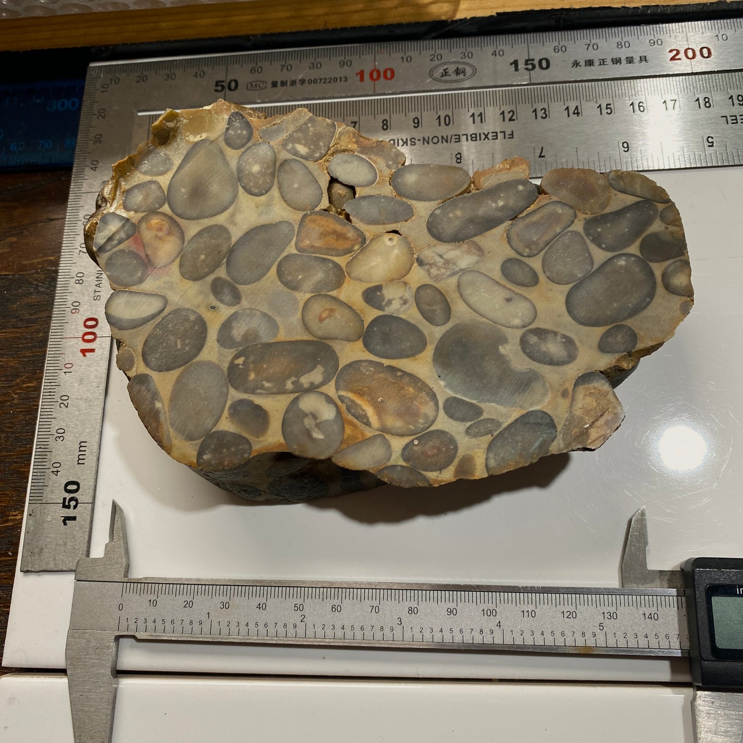 "PUDDINGSTONE" CONGLOMERATE - WARE, HERTFORDSHIRE, ENGLAND LARGE SPECIMEN 865g MF2138