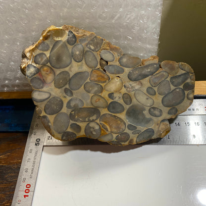 "PUDDINGSTONE" CONGLOMERATE - WARE, HERTFORDSHIRE, ENGLAND LARGE SPECIMEN 865g MF2138