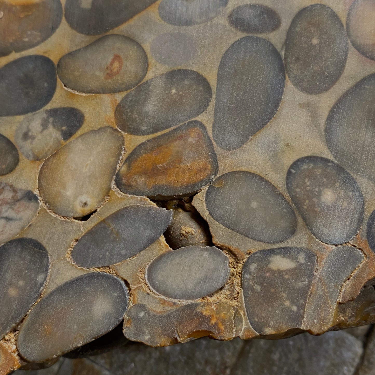 "PUDDINGSTONE" CONGLOMERATE - WARE, HERTFORDSHIRE, ENGLAND LARGE SPECIMEN 865g MF2138