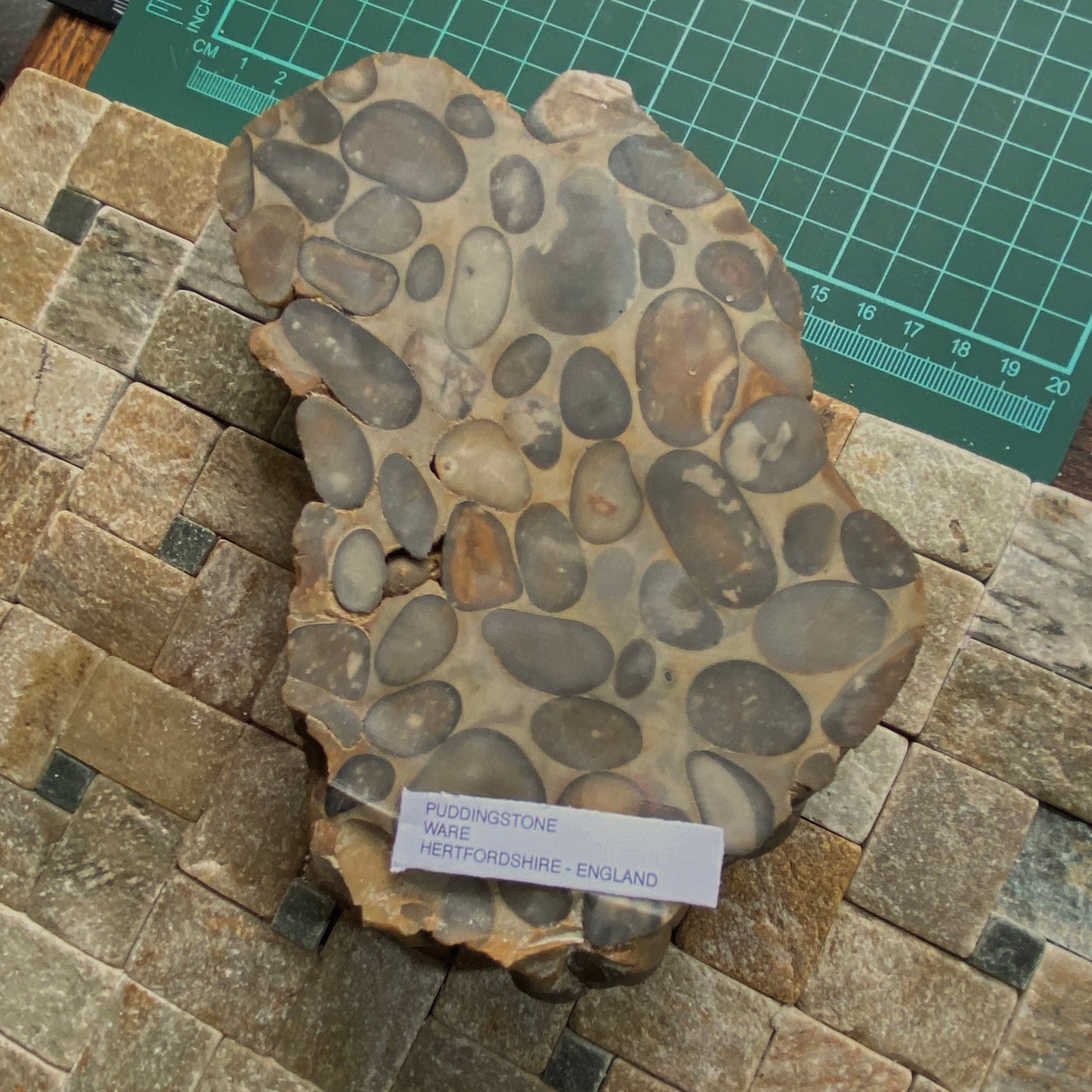 "PUDDINGSTONE" CONGLOMERATE - WARE, HERTFORDSHIRE, ENGLAND LARGE SPECIMEN 865g MF2138