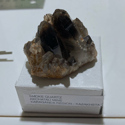 SMOKE QUARTZ  - EXQUISITE RARE SPECIMEN FROM AKCHATAU MINE, KAZAKHSTAN 41g MF2159