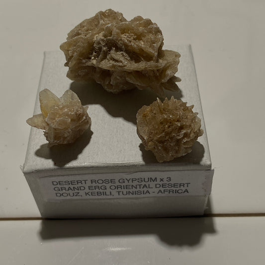 DESERT ROSE GYPSUM x 3 SPECIMENS - GRAND ERG ORIENTAL DESERT, TUNISIA 23g MF2158