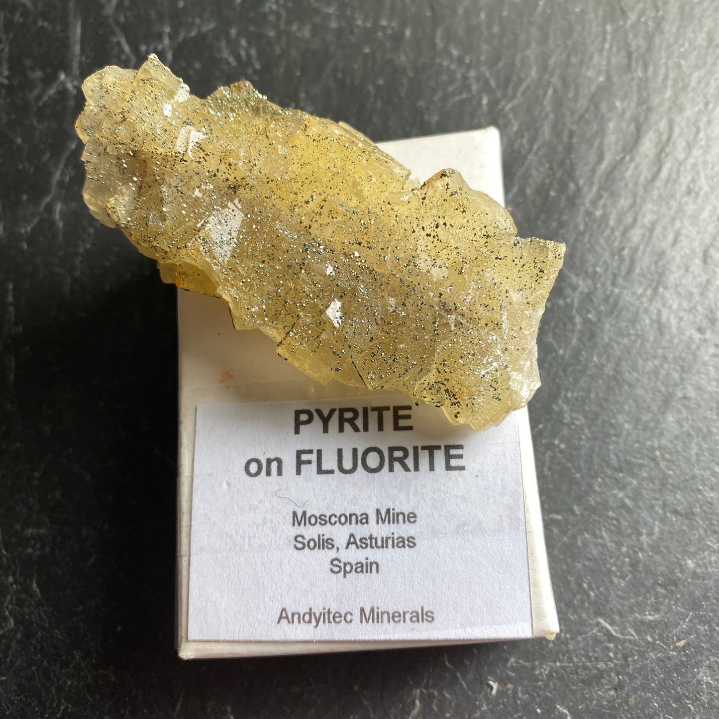 PYRITE ON FLUORITE  EXQUISITE SPECIMEN FROM MOSCANA MINE, SPAIN 65g MF1593