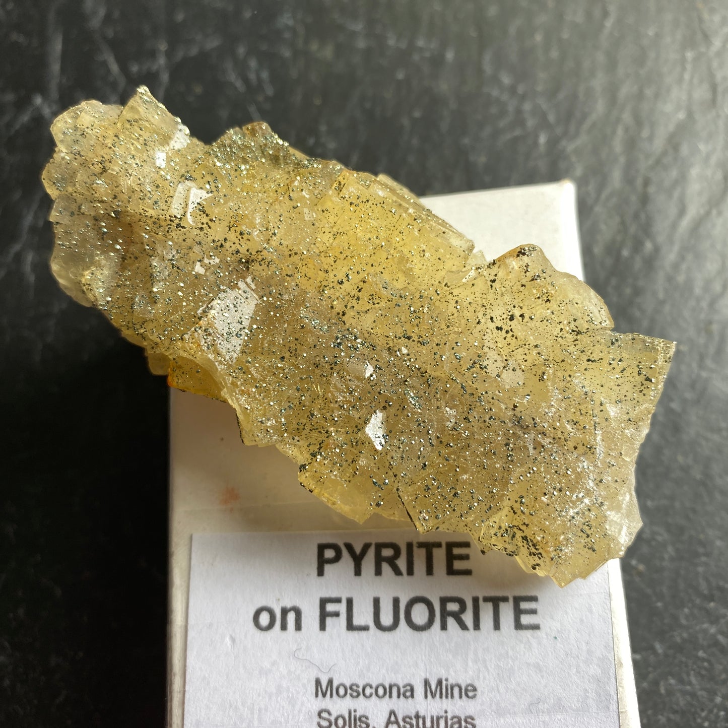 PYRITE ON FLUORITE  EXQUISITE SPECIMEN FROM MOSCANA MINE, SPAIN 65g MF1593