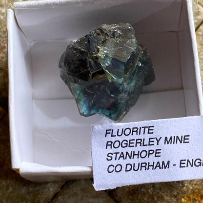 FLUORITE - ROGERLEY MINE, STANHOPE, CO DURHAM, ENGLAND 12g. MF2142