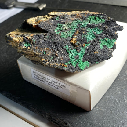 BOTRYOIDAL MALACHITE ETC, WHEAL HERLAND, CORNWALL, ENGLAND 218g mf1598