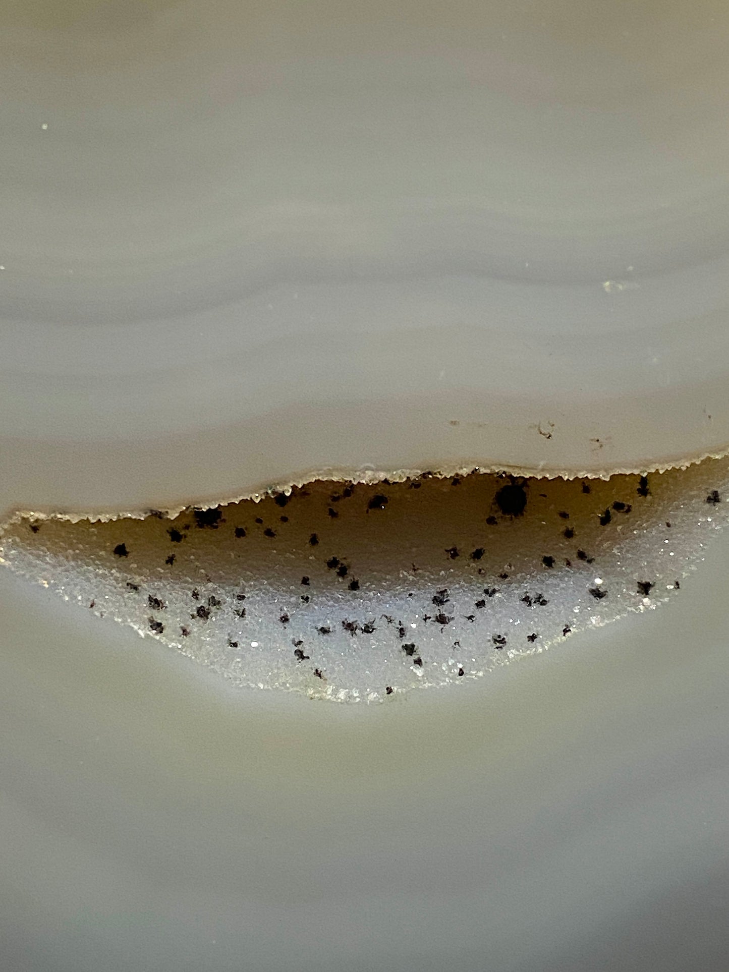 AGATE QUARTZ WITH DENDRITES : DRACOV, LIBEREC REGION, CZECH REPUBLIC 1195g MF4745