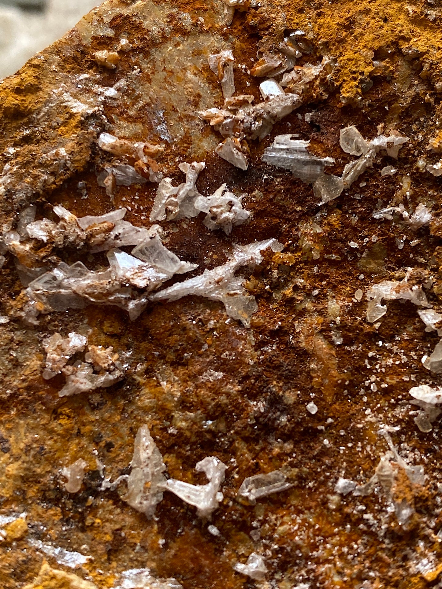 CERUSSITE [ETC] : GREYSTONES QUARRY, LAUNCASTON, CORNWALL  464g MF4751