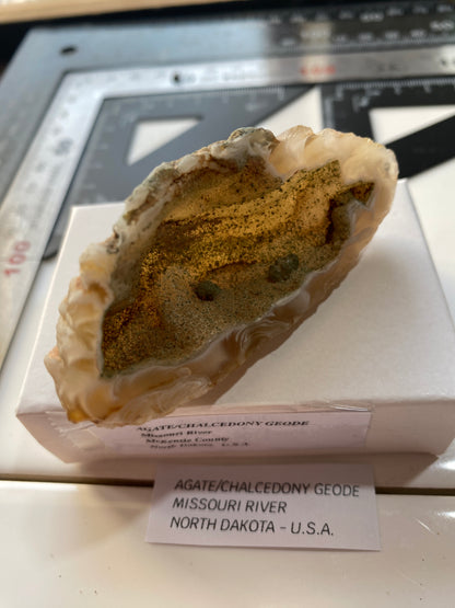 AGATE GEODE : MISSOURI RIVER, NOTH DAKOTA, U.S.A. 34g  MF4758