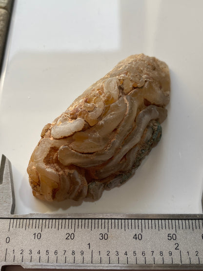 AGATE GEODE : MISSOURI RIVER, NOTH DAKOTA, U.S.A. 34g  MF4758