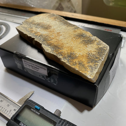 MANGANESE DENDRITES ON MATRIX - SANTIAGO DO CALEM, PORTUGAL 177g MF1023