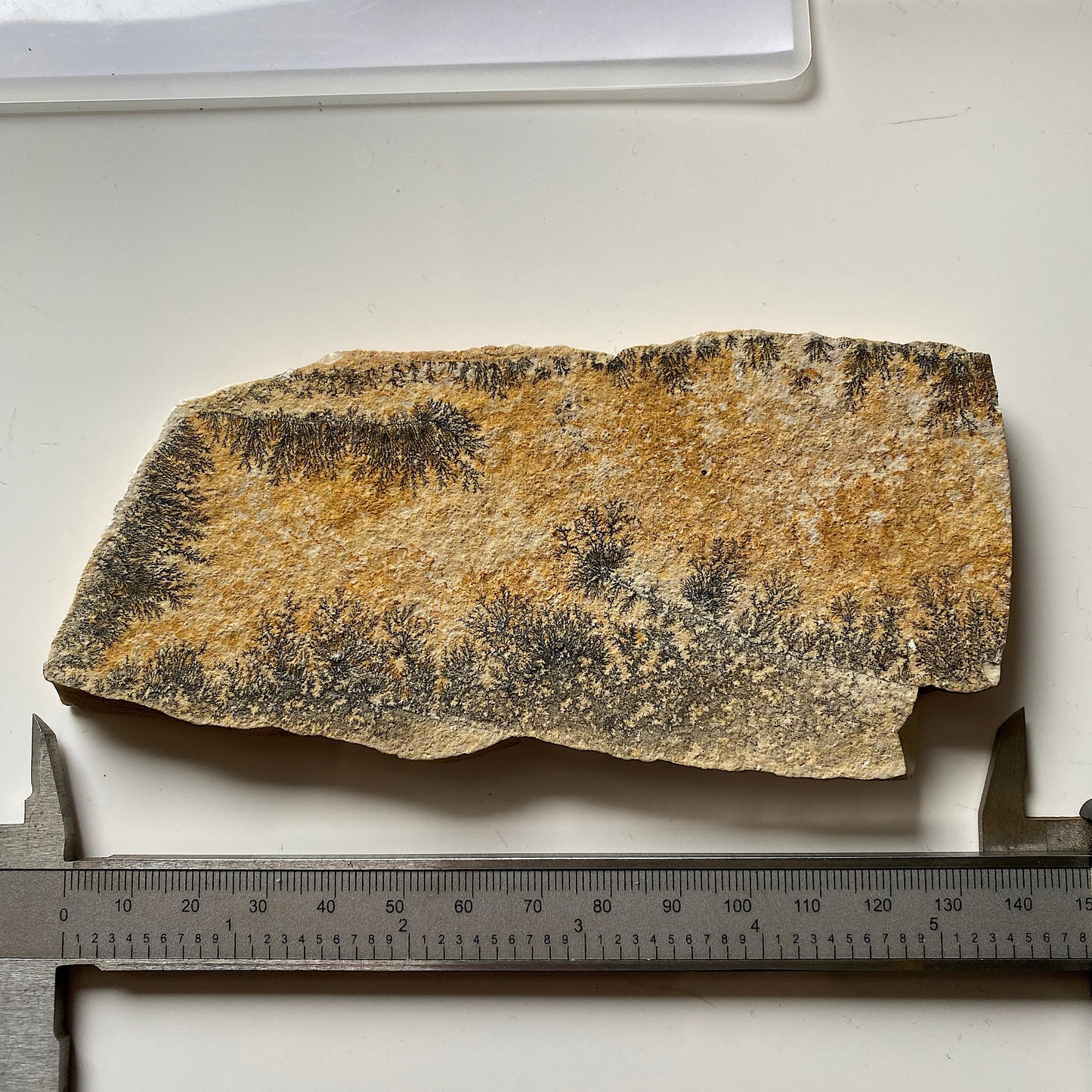 MANGANESE DENDRITES ON MATRIX - SANTIAGO DO CALEM, PORTUGAL 177g MF1023