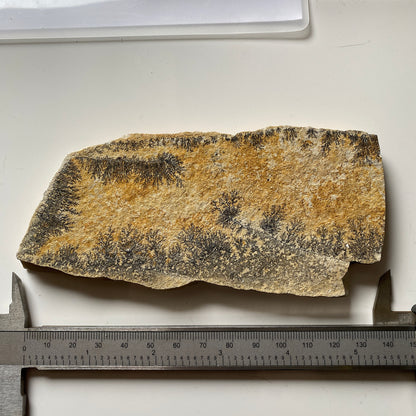 MANGANESE DENDRITES ON MATRIX - SANTIAGO DO CALEM, PORTUGAL 177g MF1023