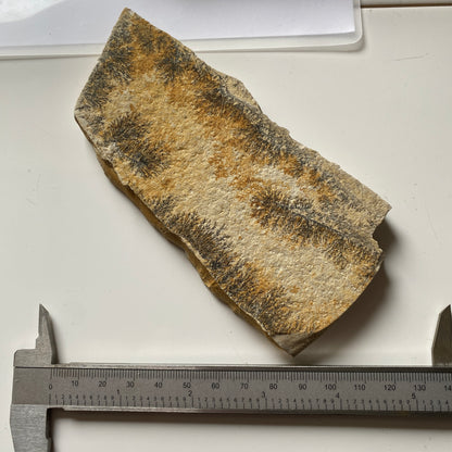 MANGANESE DENDRITES ON MATRIX - SANTIAGO DO CALEM, PORTUGAL 177g MF1023