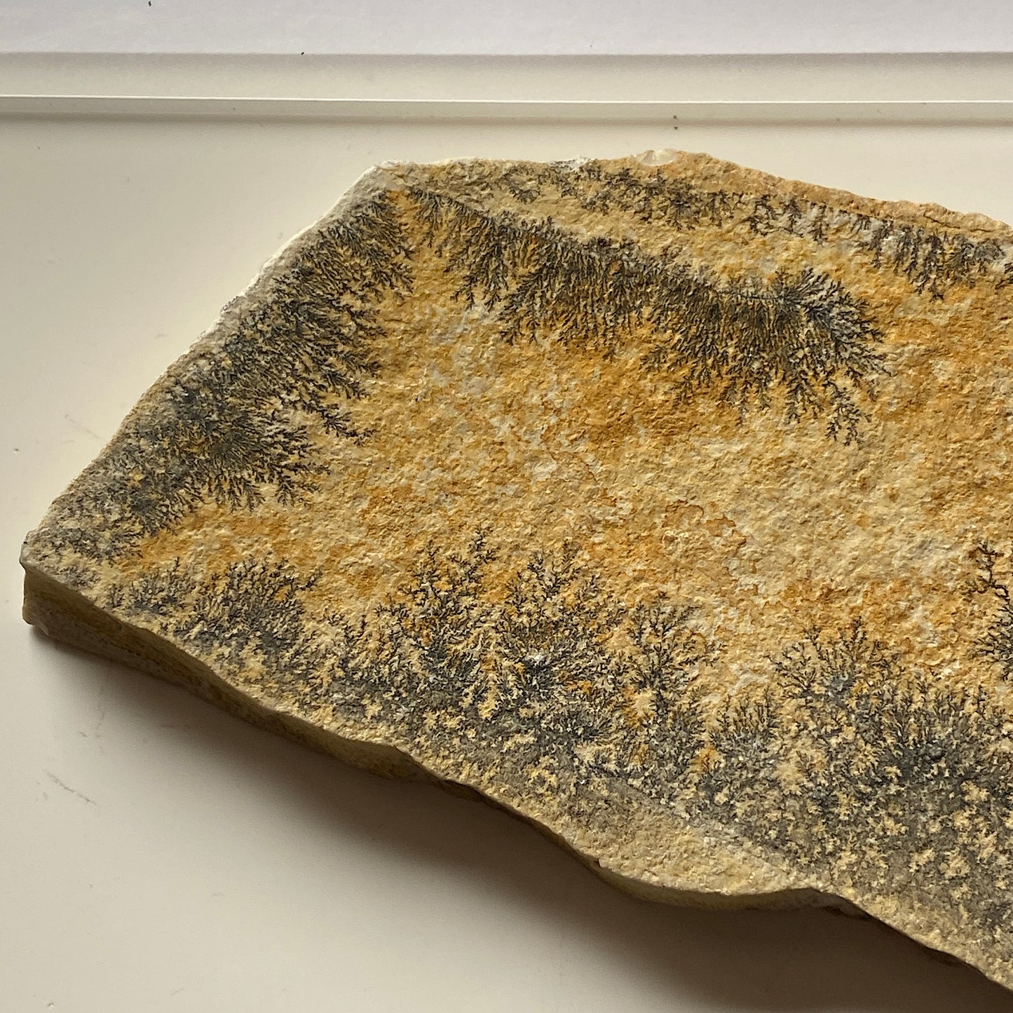 MANGANESE DENDRITES ON MATRIX - SANTIAGO DO CALEM, PORTUGAL 177g MF1023