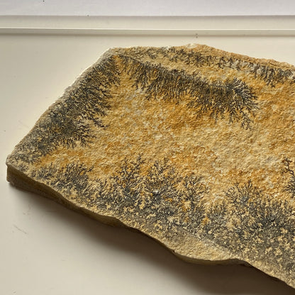 MANGANESE DENDRITES ON MATRIX - SANTIAGO DO CALEM, PORTUGAL 177g MF1023