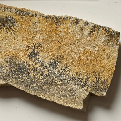 MANGANESE DENDRITES ON MATRIX - SANTIAGO DO CALEM, PORTUGAL 177g MF1023