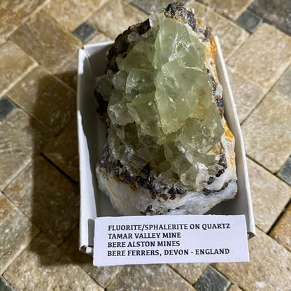 FLUORITE WITH SPHALERITE ON QUARTZ - TAMAR VALLEY MINE - DEVON, ENGLAND 212g MF4005